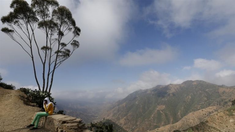 Remembering the Eritrean dream on Independence Day