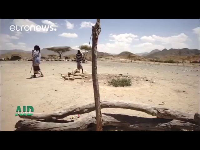 Crisis in Somaliland drought and famine threaten millions