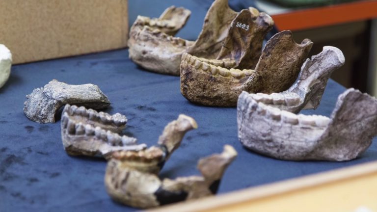 Archaeologists in Ethiopia uncover ancient city in Harlaa