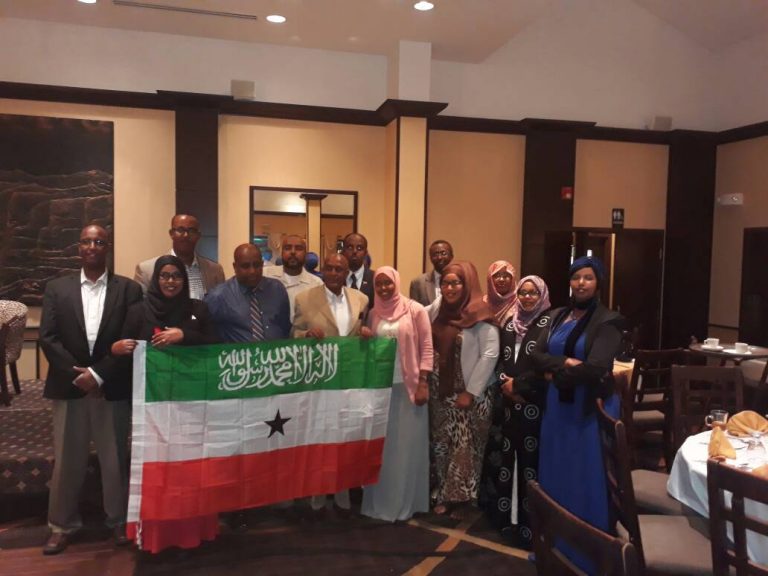 Somaliland Community in the US meets Mandela Washington Fellows