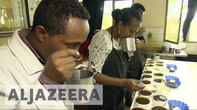Ethiopia’s coffee industry threatened by climate change