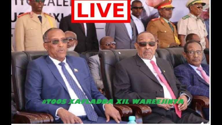 5 things you need to know about Mohamed Salah, the ‘Egyptian Messi’