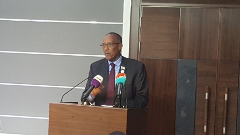 Somaliland president says DP World deal will be implemented