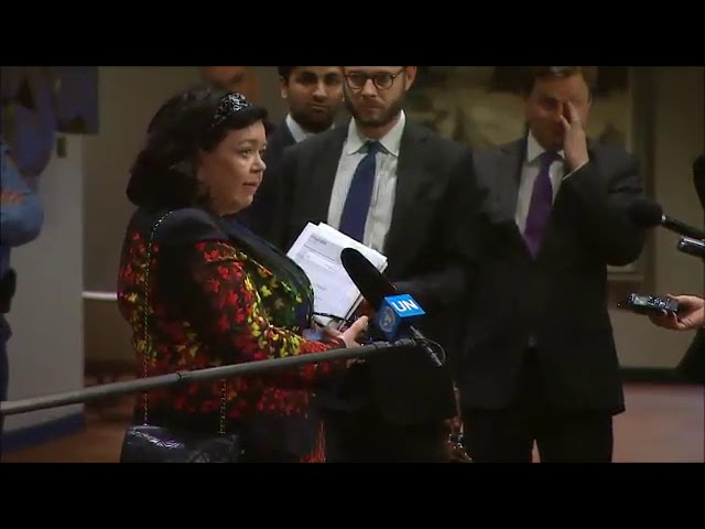 On Somaliland, Inner City Press Asks UK’s Karen Pierce About UAE, UN Envoy Keating’s Book