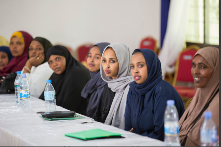 Building a peaceful, just and inclusive Somaliland: SDG16+ priorities for action