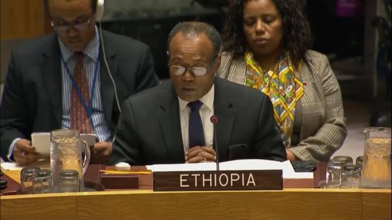 The politics of the Horn of Africa is in the process of rapid change and with salutary implications- Ethiopian Ambassador