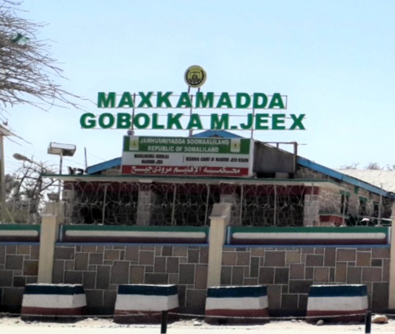 Somaliland:Hargeisa Court Sentences Cleric Over Terrorism Allegations