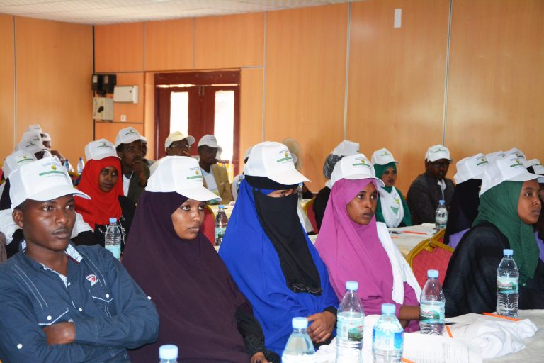 Somaliland launches public awareness campaign to reduce charcoal use and protect the environment