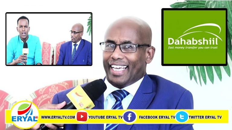 Somaliland:Ex-Public Accounts Sub-Committee Chairman Classifies Dahabshiil ‘Above Reproach’
