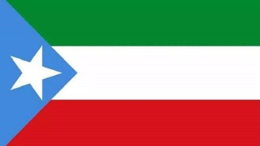 Ethiopia's Somali regional parliament restores flag, amends name