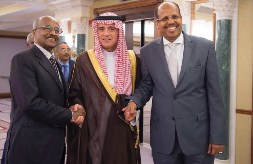 Leaders of Djibouti,Eritrea hold a historic meeting in Jeddah