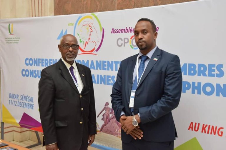 Somaliland Attends Francophone Economic Forum held in Daka
