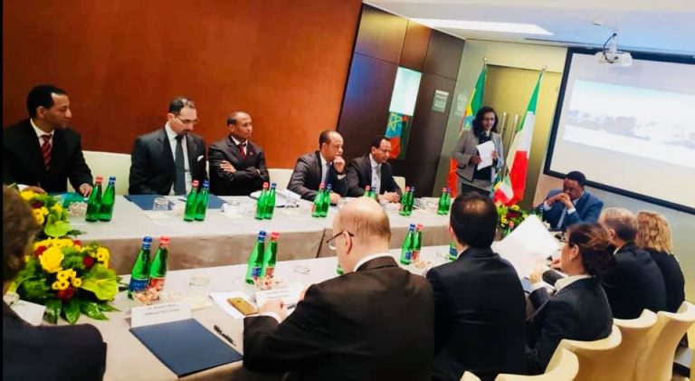 Italian Companies Ambitious to Invest in Ethiopia