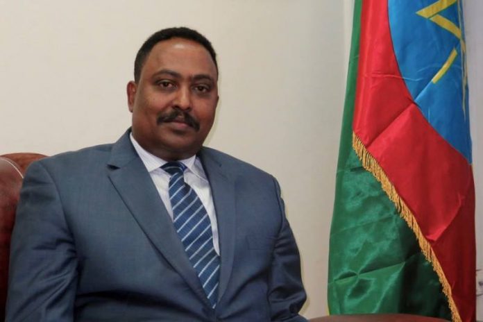 Dr. Workneh Leaves for Djibouti for a Meeting of IGAD Council of Ministers