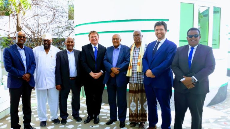 Somaliland: Waddani Party Leaders Meet with UK Ambassador to Somalia