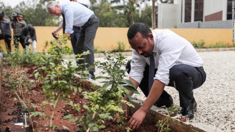 Ethiopia plants more than 350 million trees in 12 hours