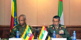 Ethiopia, UAE advancing military cooperation