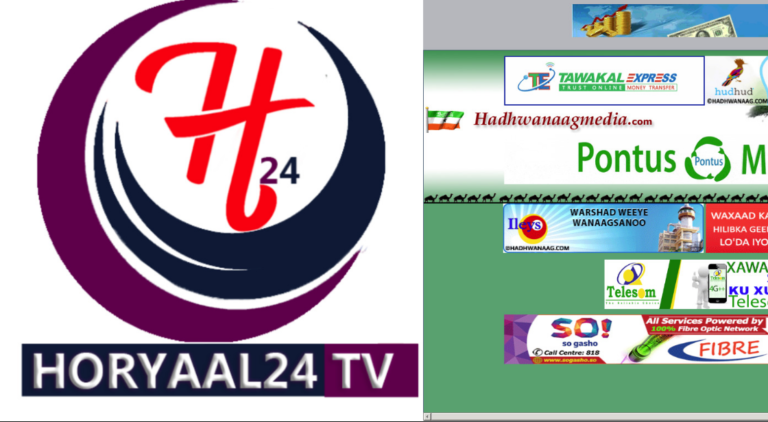 Human Rights Centre condemns the closure of two media houses and detention of journalist