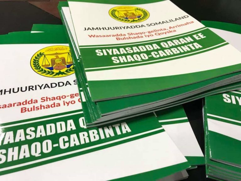 Somaliland Cabinet approves National Internship Policy