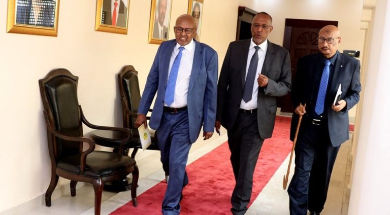 Somaliland Global Diaspora forum calls President and Political parties to respect the will of the people