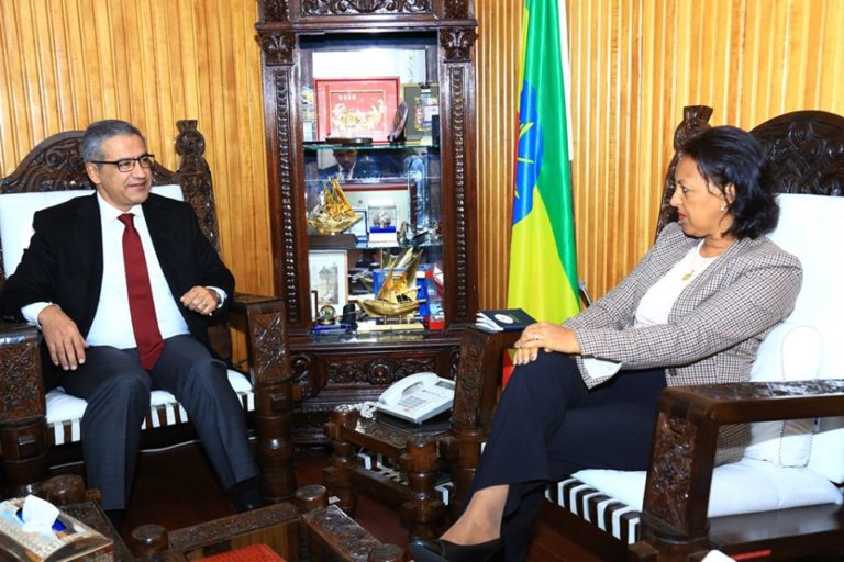 Ethiopian State FM Holds Discussion with Turkish Special Envoy for Somalia-Somaliland Talks