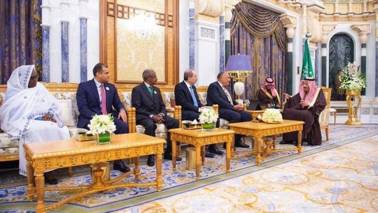 Saudi King Salman recieves foreign ministers of Arab and African countries bordering the Red Sea and the Gulf of Aden. (SPA)