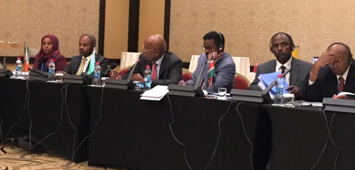 Horn of Africa Initiative Ministerial Meeting Underway in Djibouti