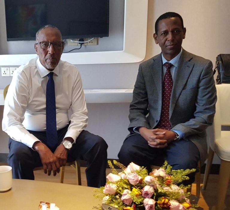 Somaliland President meets IGAD Special Envoy for Somalia and Red Sea