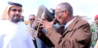 Somaliland and UAE engage in a joint effort to help camel farmers