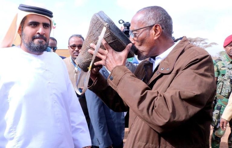 Somaliland and UAE engage in a joint effort to help camel farmers