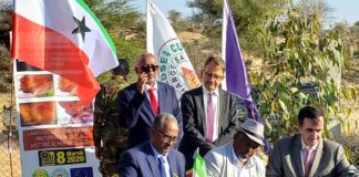 Eu and Hargeisa Cultural Centre Join Hands to Protect the Laas Geel Cave Paintings