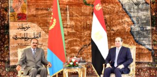 Eritrean,Egyptian presidents discuss cooperation, regional issues