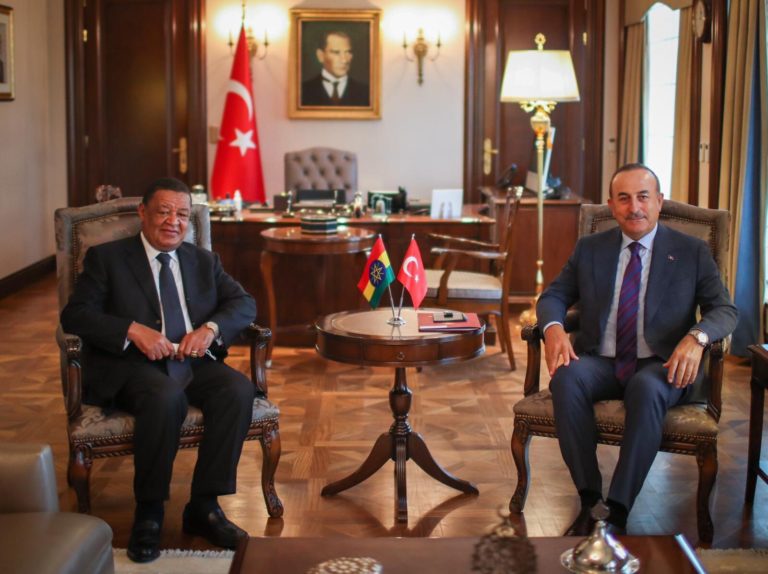 Turkish FM Meets Ethiopia PM Abiy Ahmed's Special Representative
