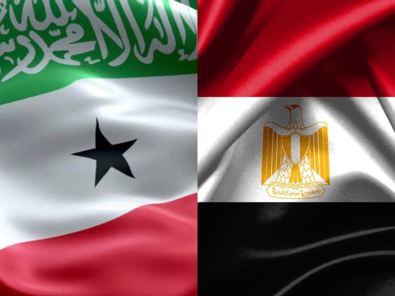 Somaliland and Egypt pledge steps to boost economic ties
