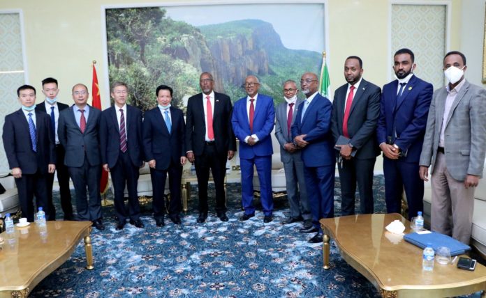 Somaliland President meets with high-level delegation from China