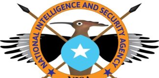 Somalia intelligence agency seize 79 tons of bomb making sulphuric acid