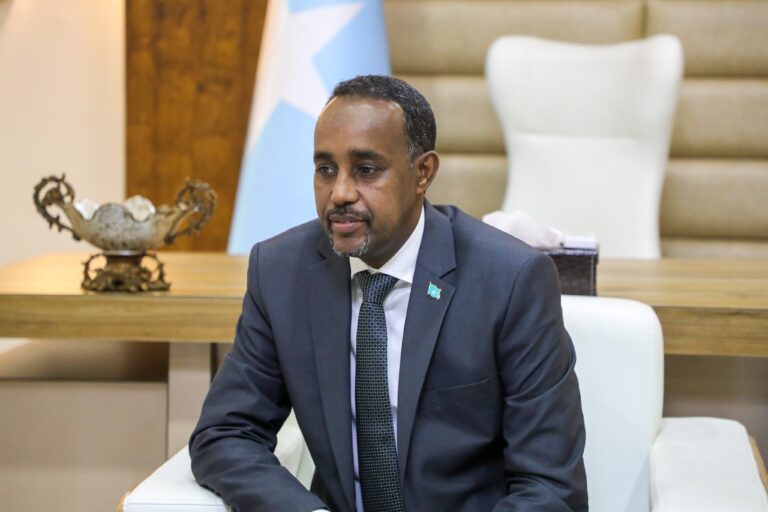 Somalia prime minister names new cabinet