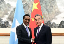 China, Somalia ready to push bilateral ties to new highs: FMs