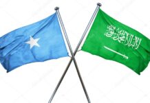 Saudi, Somalia envoys discuss OIC cooperation