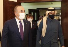 Turkish FM vows to continue to work together with Qatar