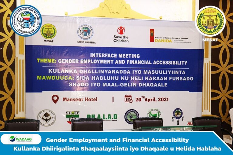 Somaliland:Sonyo Hosts Interface Meeting of Gender Employment and Financial Accessibility