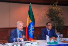 emeke Mekonnen, Deputy Prime Minister and Minister of Ethiopia held talks today with Pekka Haavisto, Special Envoy of the European Union and Minister of Foreign Affairs of Finland.
