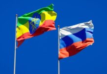 Ethiopia, Russia Agree To Strengthen Cooperation In Security Service