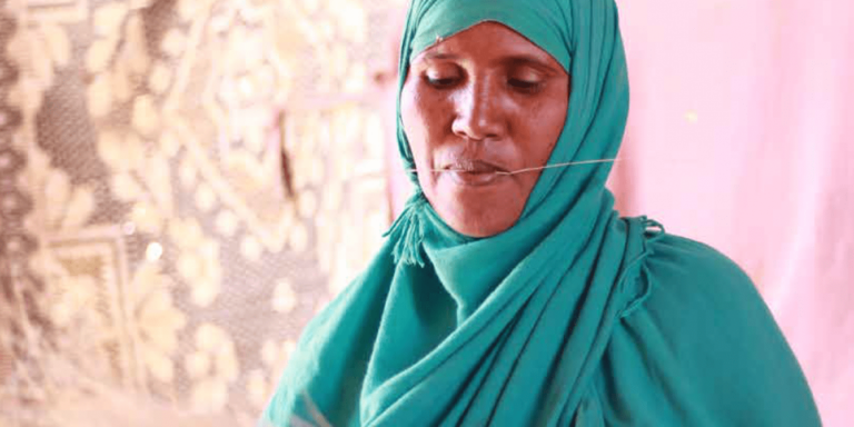 Women business’ access to finance in Somaliland