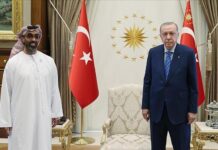 Turkish president receives UAE’s national security adviser