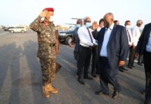 Djibouti president, returns home after hospitalisation rumours