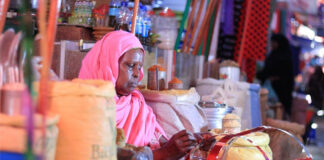 Fauzia Mohamoud a her shop in the outskirts of Somaliland capital of Hargeisa/HANDOUT