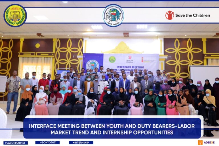 Sonyo interface meeting