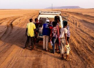 An IOM mobile unit assists migrants in the Obock desert. Photo: IOM/Alexander Bee