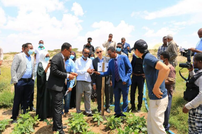  Taiwan Demonstration Farm in Somaliland opens